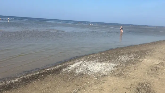 Litwa, �otwa, Estonia - Nadba�tyckie stolice - ob�z rekreacja i zwiedzanie