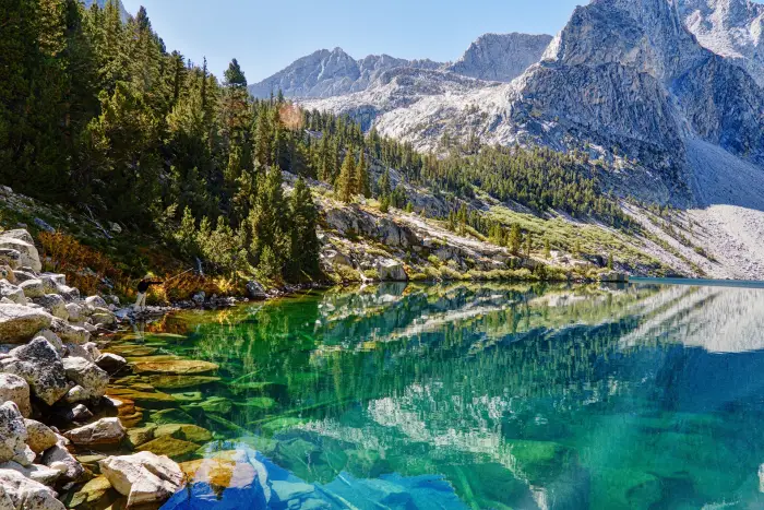 Kings Canyon National Park