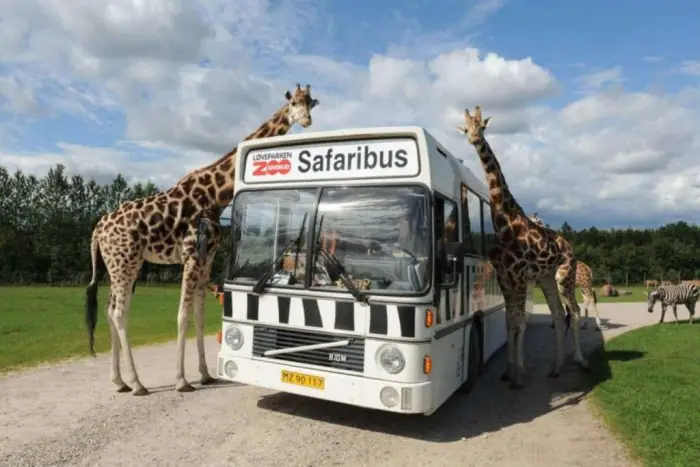 Dania - Legoland - Smak dzieci�stwa - wylot z Warszawy, Wroc�awia