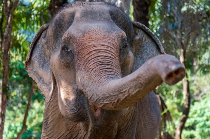 Tajlandia - Phuket Dream - wylot z Warszawy