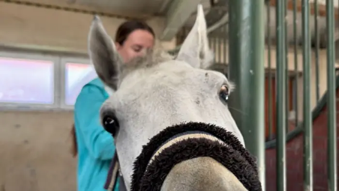 Zakrz�w - kurs je�dziecki