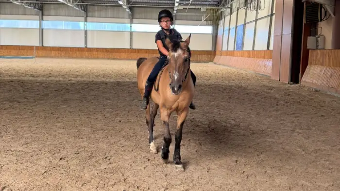 Zakrz�w - ob�z jazdy konnej z j. angielskim