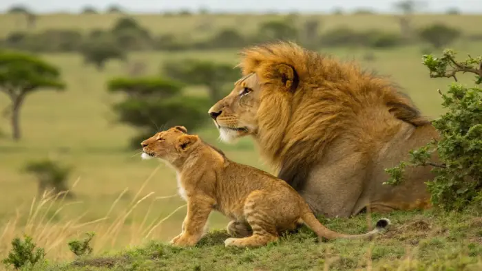 Kenia - Safari Camp - wylot z Warszawy