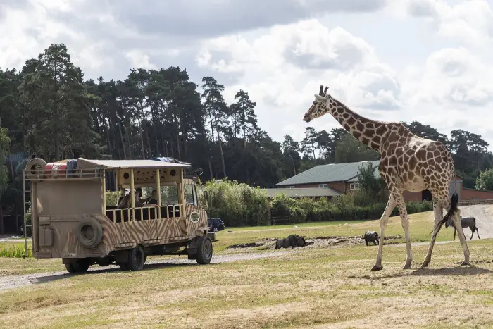 �winouj�cie: J�zyk Hiszpa�ski