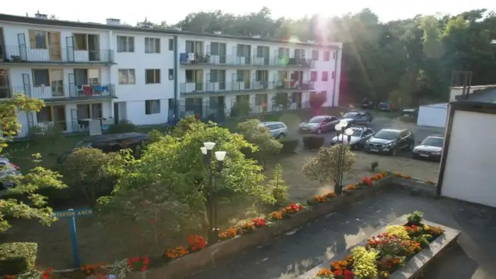 D�bki - ob�z przygodowy Zakr�cone Aqua Wakacje