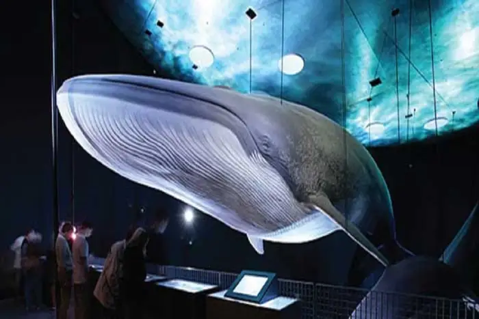 Mi�dzyzdroje: 16 przyg�d nad morzem