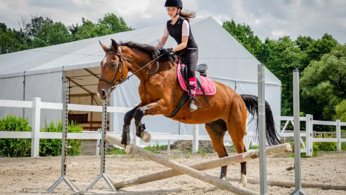 Zbros�awice - kurs je�dziectwa