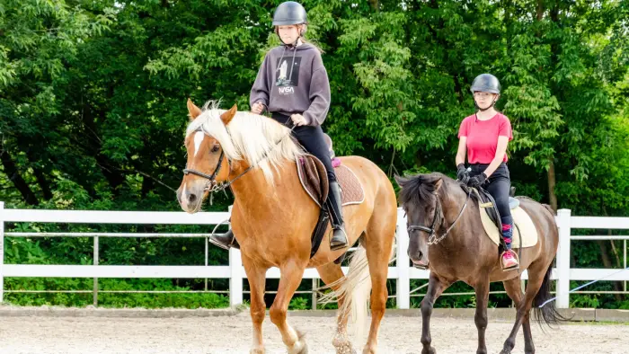 Zbros�awice - kurs je�dziectwa