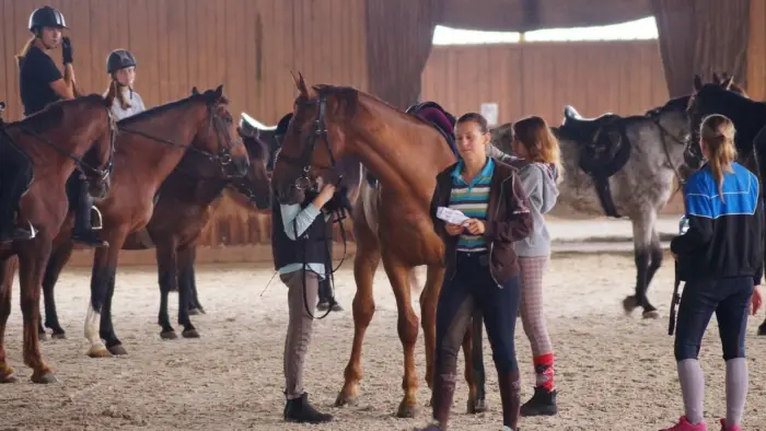 Zbros�awice - kurs je�dziectwa