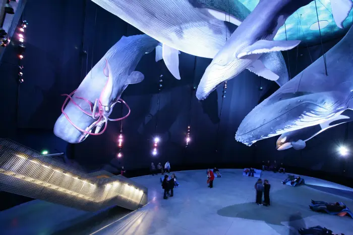 Ko�obrzeg - 17 wspania�ych przyg�d