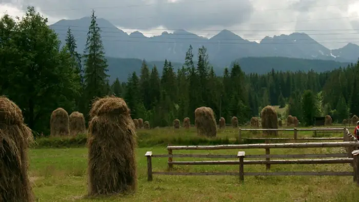 Bukowina Tatrza�ska - ob�z Adventure