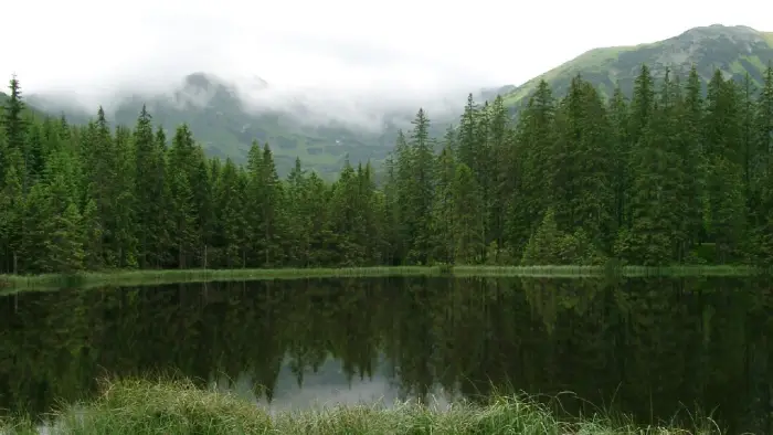Bukowina Tatrza�ska - ob�z plener malarski