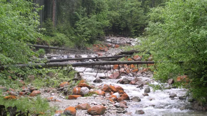 Bukowina Tatrza�ska - ob�z rekreacyjny