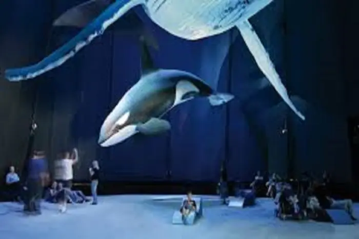 Jaros�awiec - Kolonia Rekreacyjna