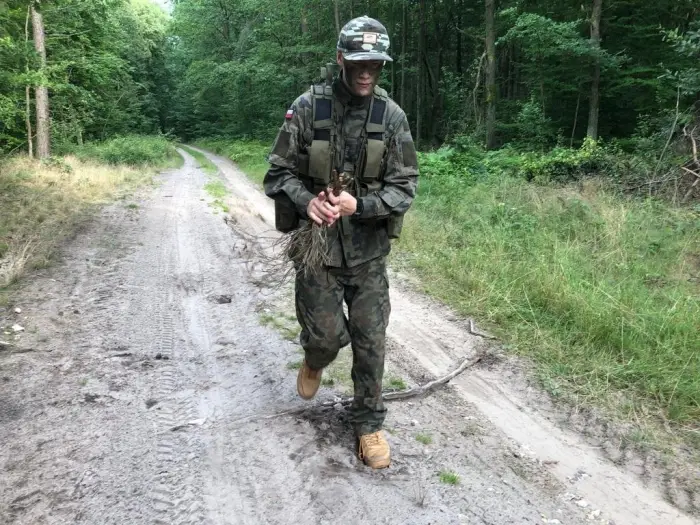 survival