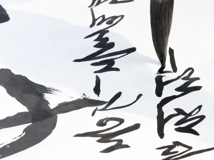 Wicie: Manga Otaku Japonia