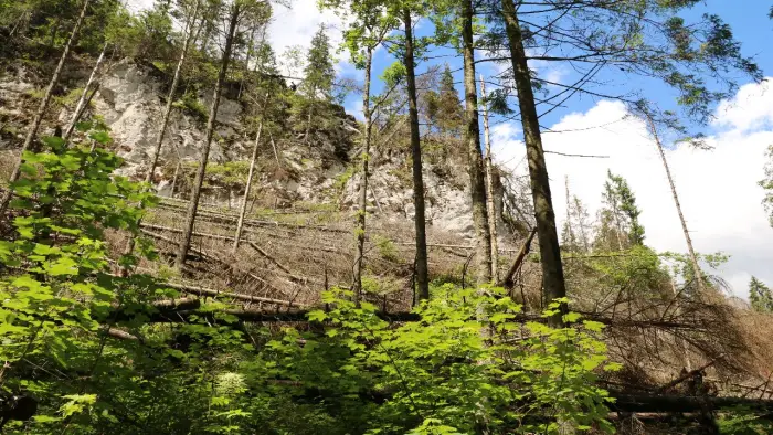 Murzasichle - ob�z Adventure