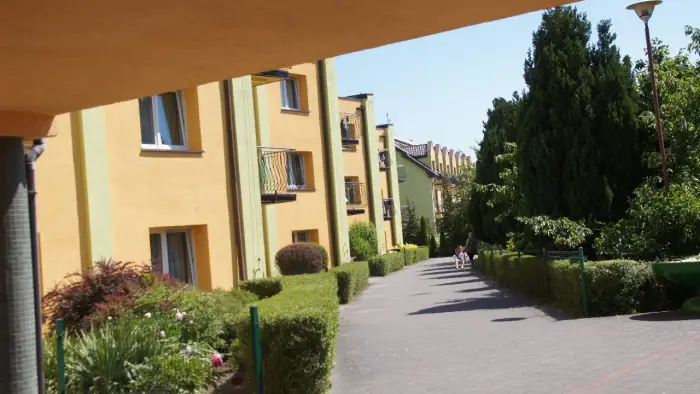 Dar��wko - ob�z j�zyka angielskiego