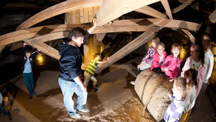 Borek - ob�z Hobby horses