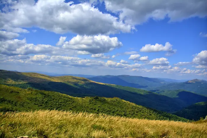Cisna: Bieszczady Vibe
