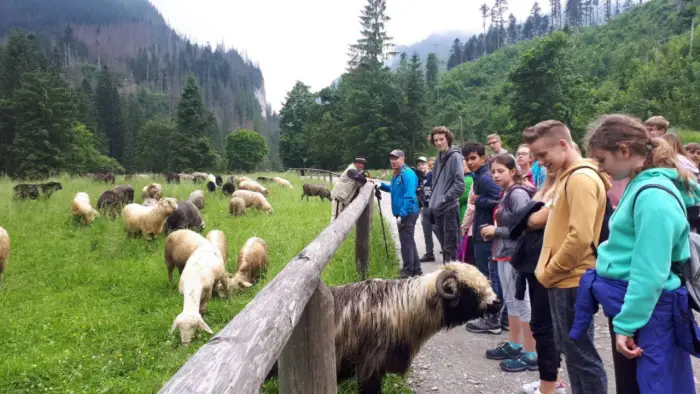Zakopane - kolonie i ob�z Tatrza�ski Luz