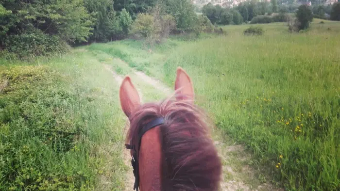 Brenna - Beskidy - rajd konny