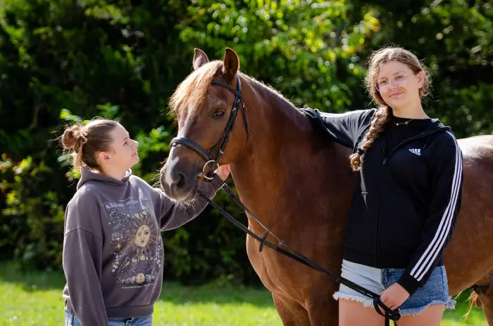 Zbros�awice - kurs pracy z ziemi z koniem