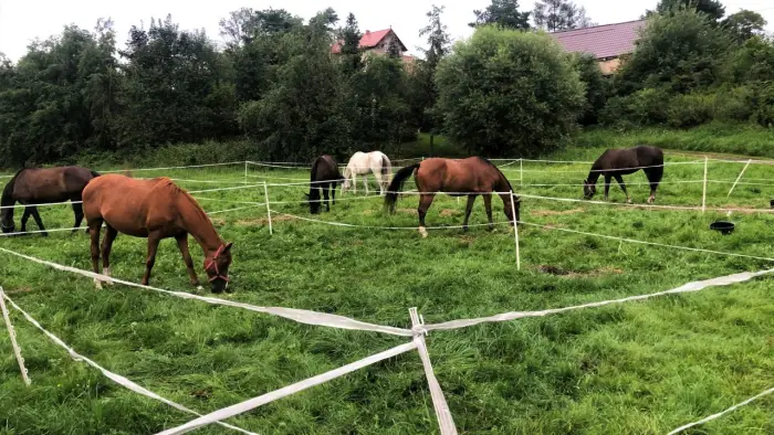 Opolszczyzna Bory Niemodli�skie - m�odzie�owy rajd konny