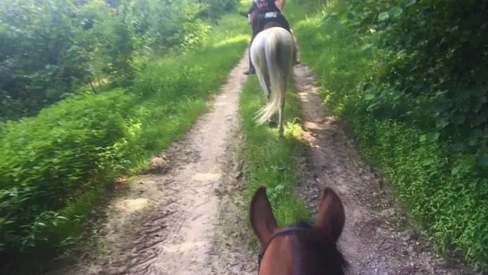 Opolszczyzna Bory Niemodli�skie - m�odzie�owy rajd konny