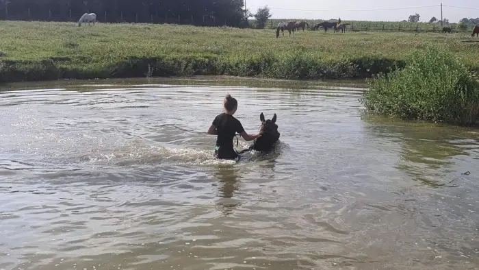 Opolszczyzna Bory Niemodli�skie - m�odzie�owy rajd konny