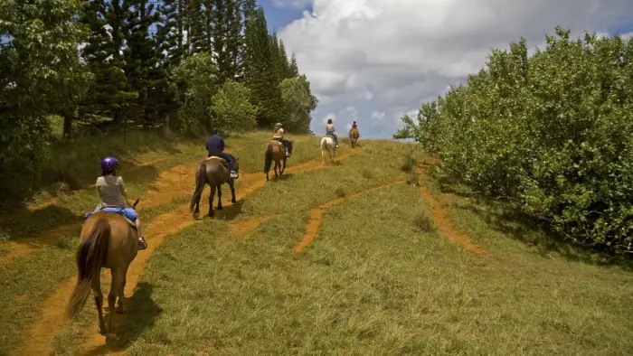 Opolszczyzna Bory Niemodli�skie - studencki rajd konny