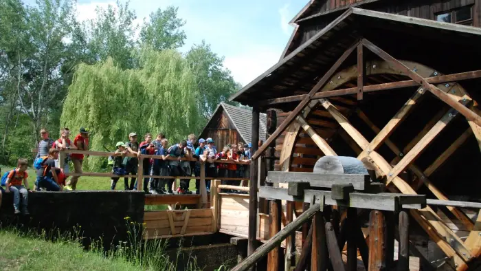 Krasiej�w - ob�z Dino Przygody