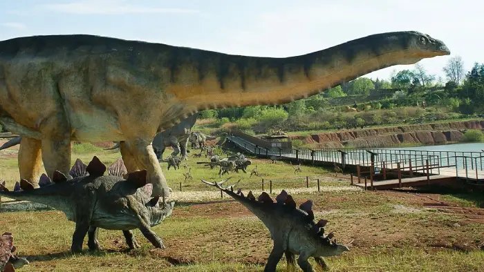 Krasiej�w - ob�z Dino Przygody