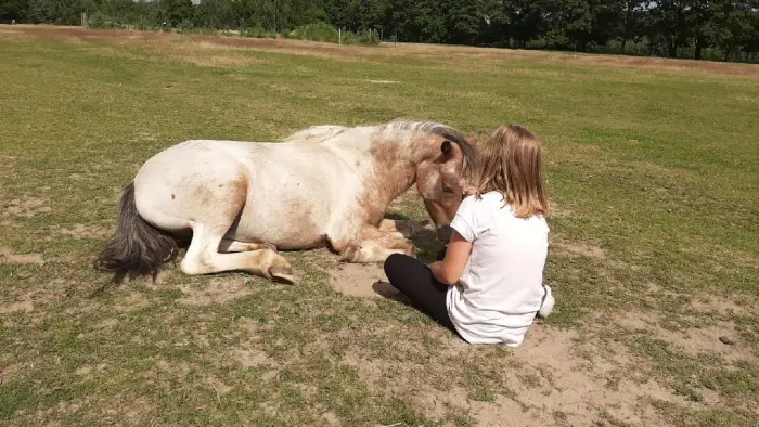 Przysiecz - kolonia rekreacyjna