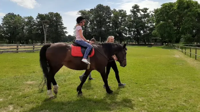 Przysiecz - kolonia rekreacyjna