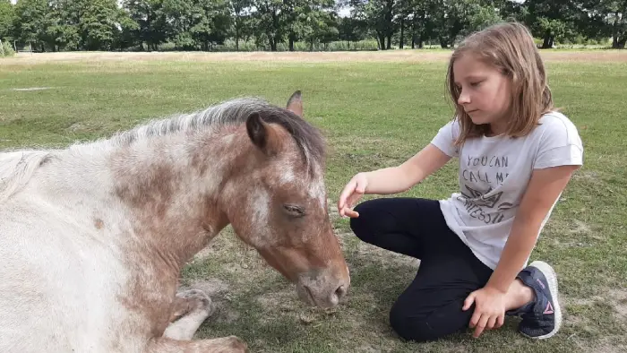 Przysiecz - kolonia ABC jazdy konnej