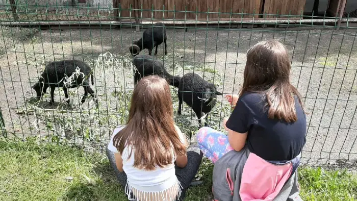 Przysiecz - kolonia ABC jazdy konnej