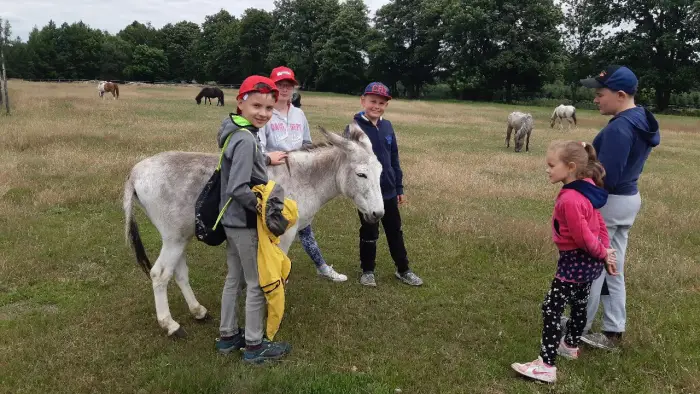 Przysiecz - kolonia plastyczna