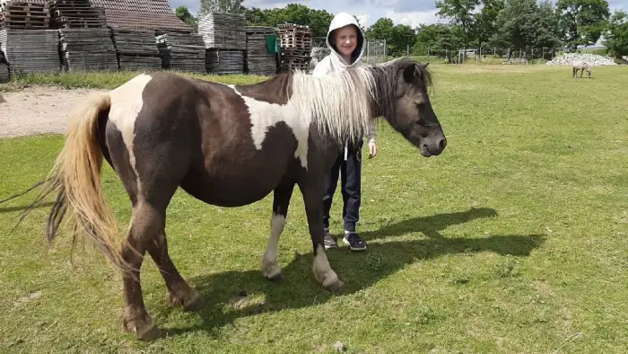 Przysiecz - kolonia plastyczna