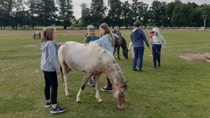 Przysiecz - kolonia plastyczna