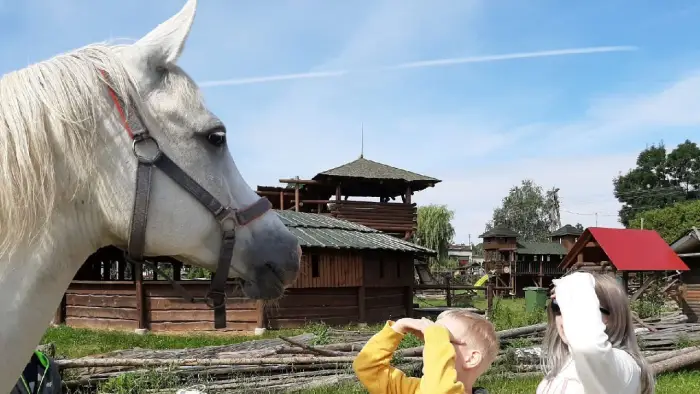 Przysiecz - kolonia plastyczna