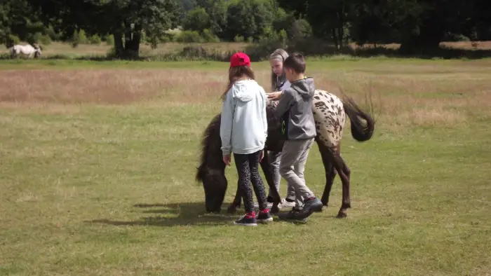 Przysiecz - kolonia plastyczna