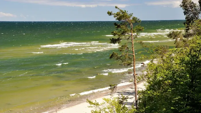 D�wirzyno - ob�z j�zyka angielskiego