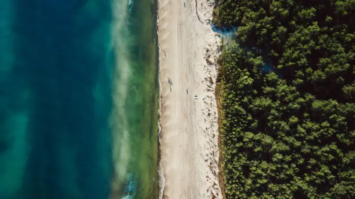 D�wirzyno - ob�z j�zyka hiszpa�skiego