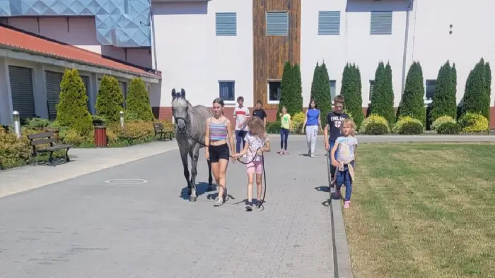 Zakrz�w - kurs jazdy konnej SPORT - Camp Sportowy