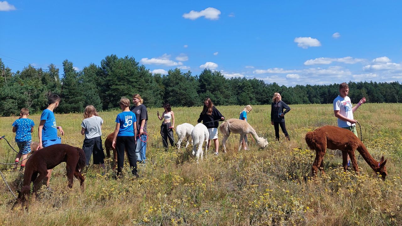 Uniej�w - kolonia i ob�z j�zyka angielskiego