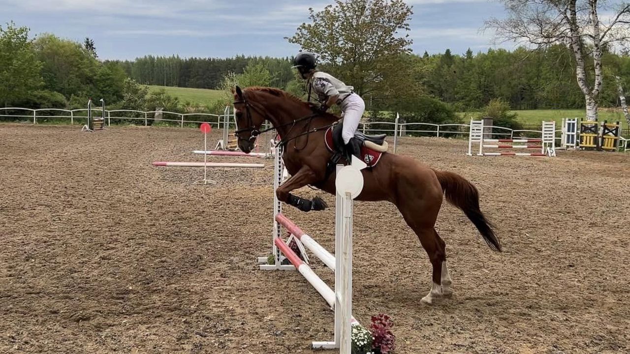 Runowo - ob�z je�dziecki Wakacje w siodle