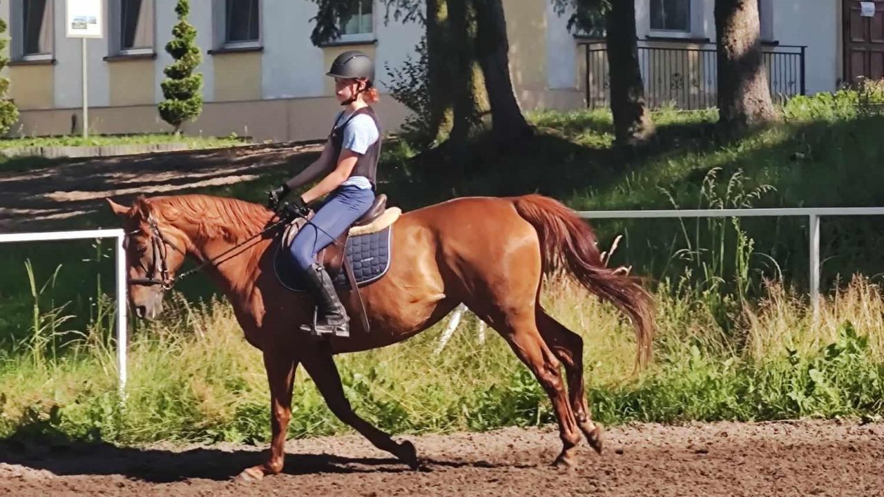 Runowo - ob�z je�dziecki Wakacje w siodle