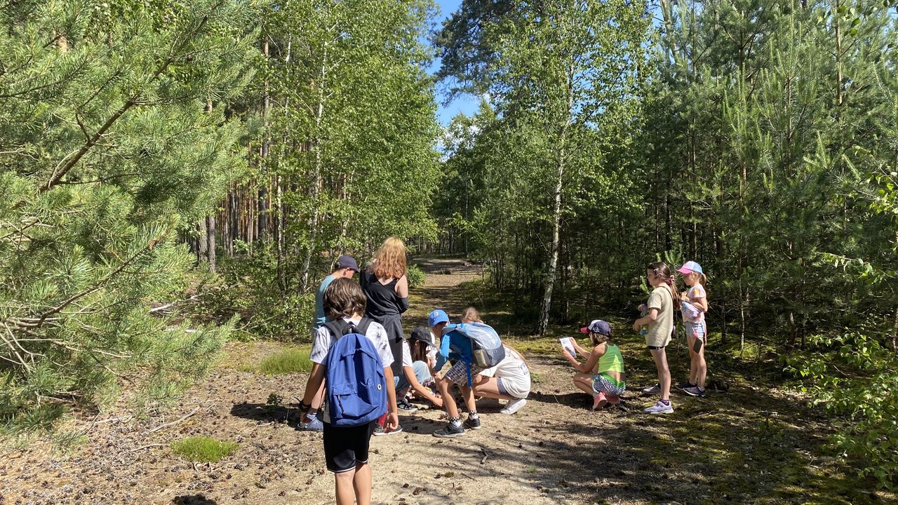 Uniej�w - kolonia survivalowa