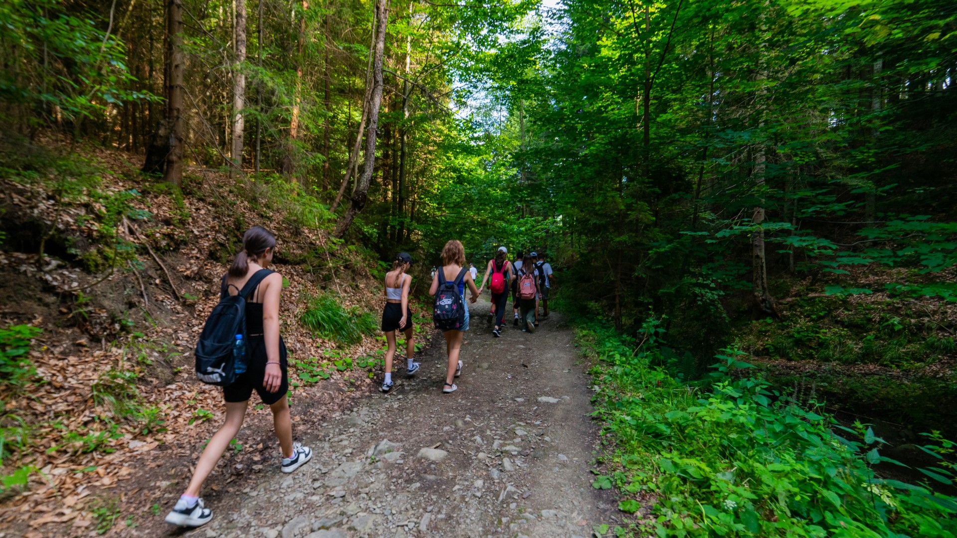 Zawoja - mix przyg�d